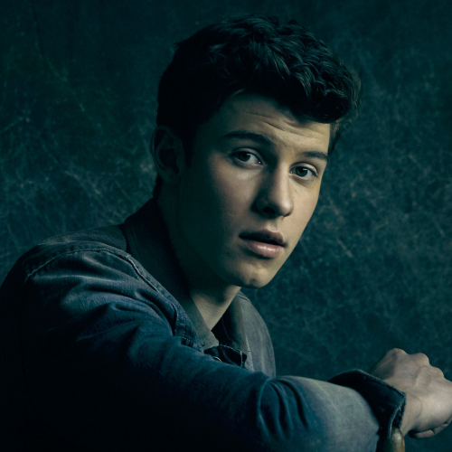Listen Shawn Mendes on PewPee